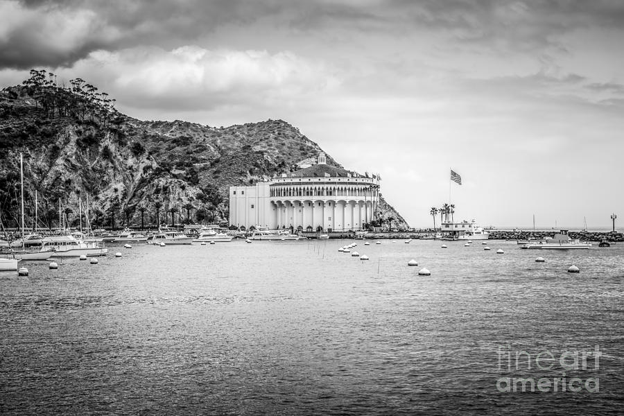 Catalina Island Casino Black and White Picture Photograph by Paul Velgos