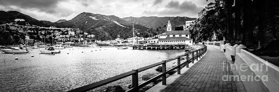 Catalina Island Casino Way Panorama Photo Photograph by Paul Velgos
