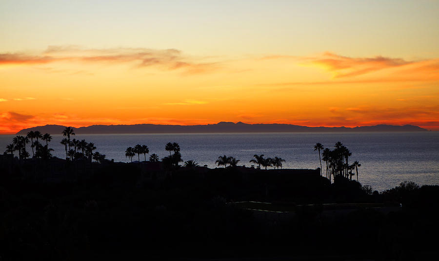 catalina trips from dana point