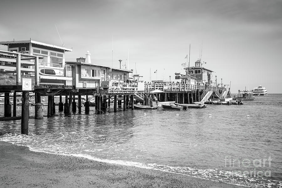 Catalina Island Green Pleasure Pier Black and White Photo Photograph by Paul Velgos