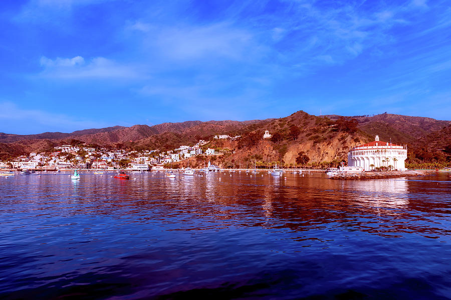 Boat Photograph - Catalina Island by Mountain Dreams