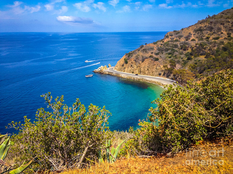 Catalina Island Lovers Cove Picture Photograph by Paul Velgos
