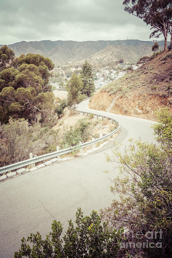 Catalina Island Mountain Road Picture Photograph by Paul Velgos