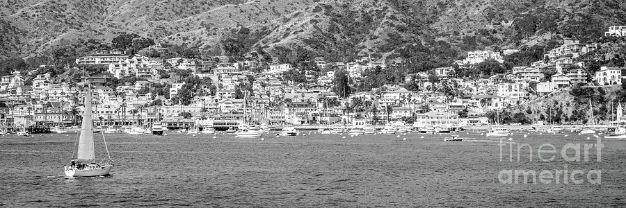 Catalina Island Panorama Photo in Black and White Photograph by Paul Velgos
