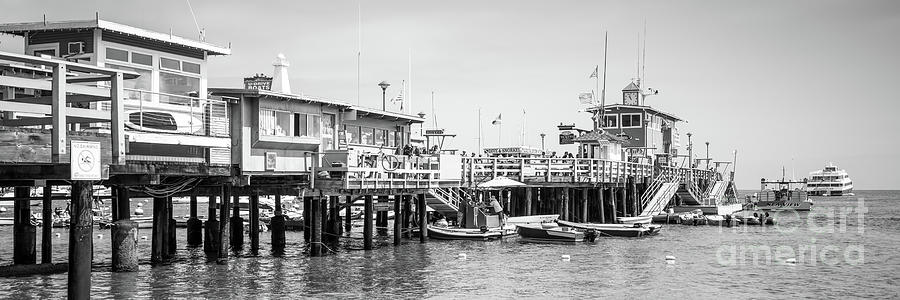 Catalina Island Pier Black and White Panoramic Photo Photograph by Paul Velgos