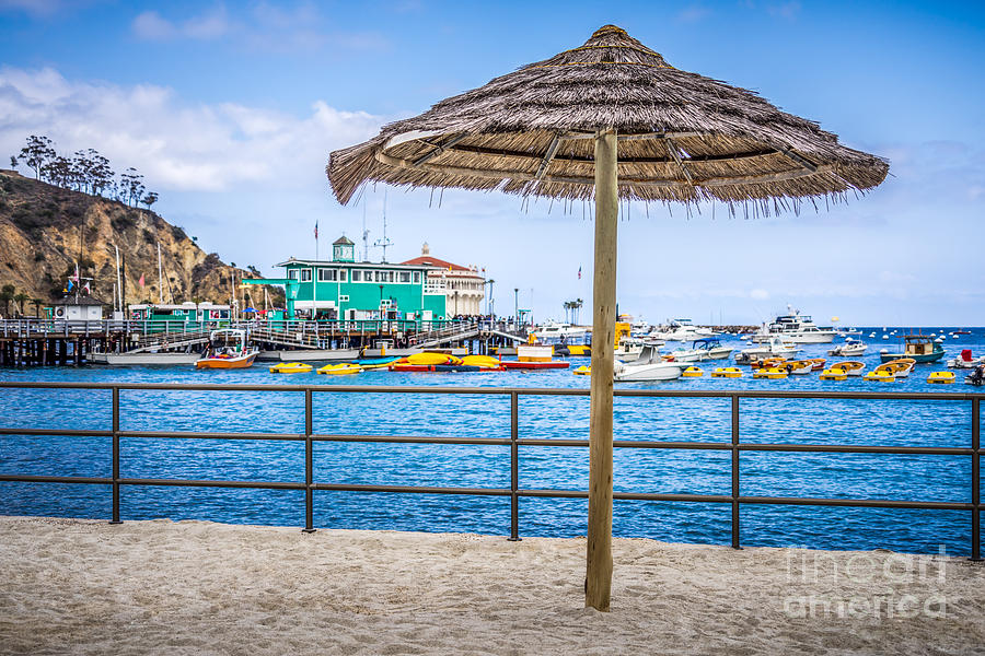 Beach Photograph - Catalina Island Straw Umbrella Picture by Paul Velgos