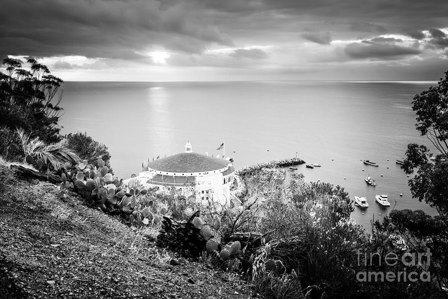 Catalina Island Sunrise Black and White Photo Photograph by Paul Velgos