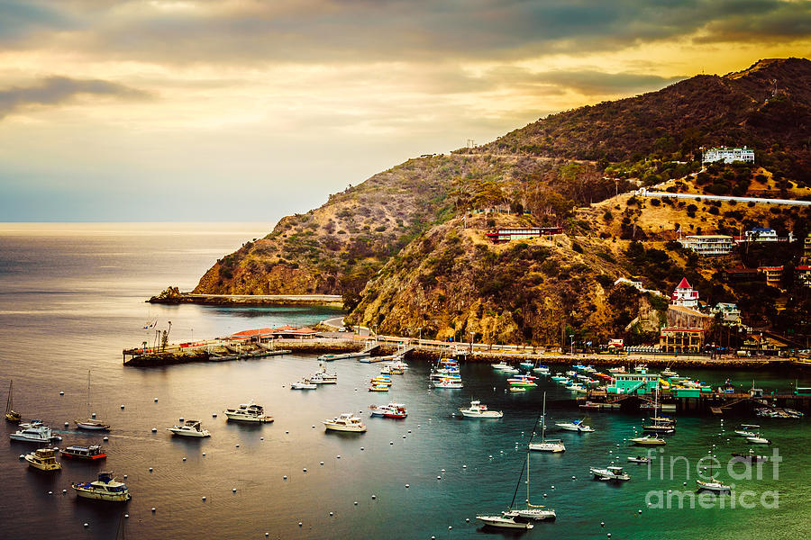 Catalina Island Sunrise Picture Photograph