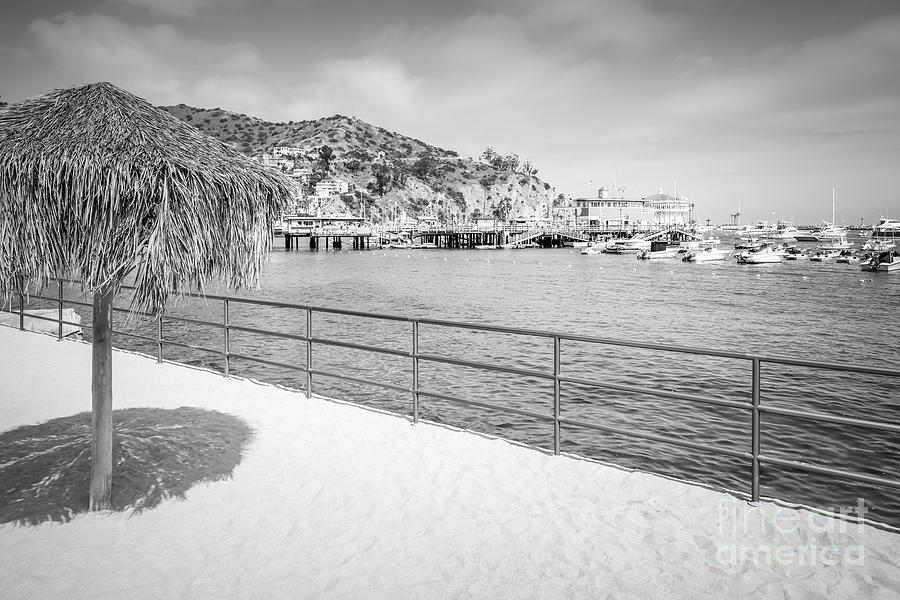 Catalina Island Tiki Umbrella Black and White Photo Photograph by Paul Velgos