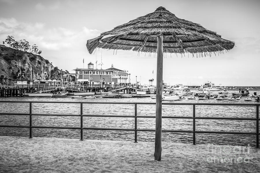 Beach Photograph - Catalina Island Umbrella in Black and White by Paul Velgos