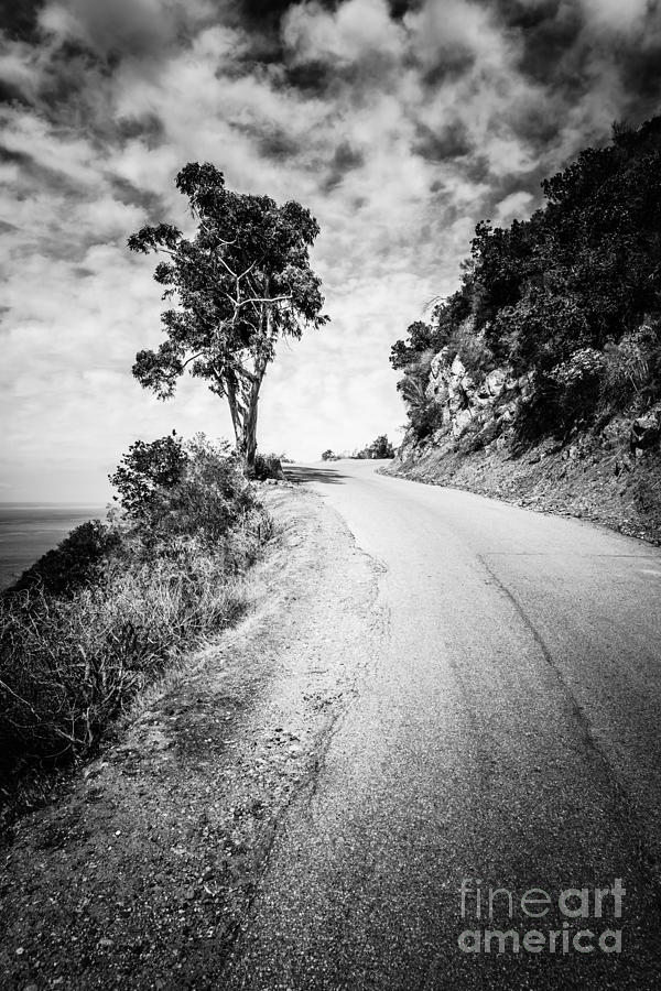 Catalina Island Wrigley Road Black and White Photo Photograph by Paul Velgos