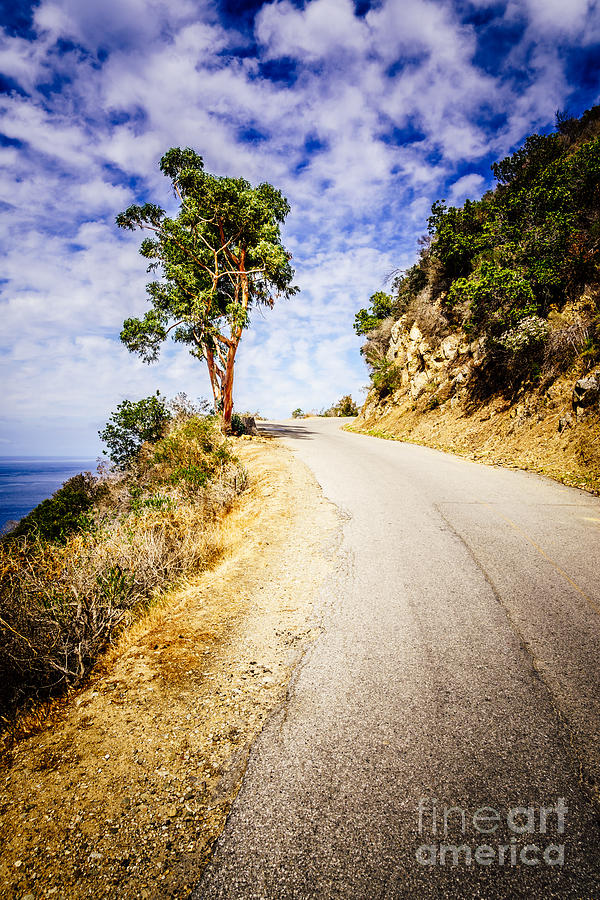 Catalina Island Wrigley Road in the Mountains Photograph by Paul Velgos