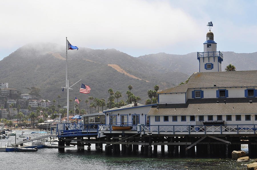 catalina island yacht club photos