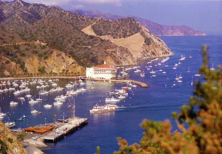Catalina Kodachrome 2 Photograph by Floyd Snyder