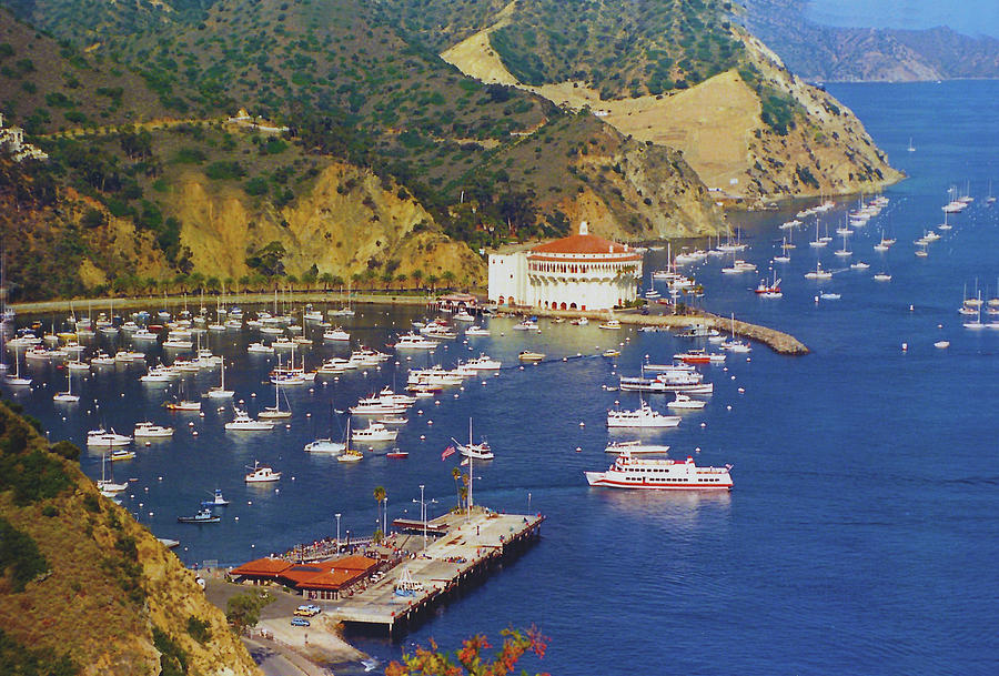 Catalina Kodachrome 3 Photograph by Floyd Snyder