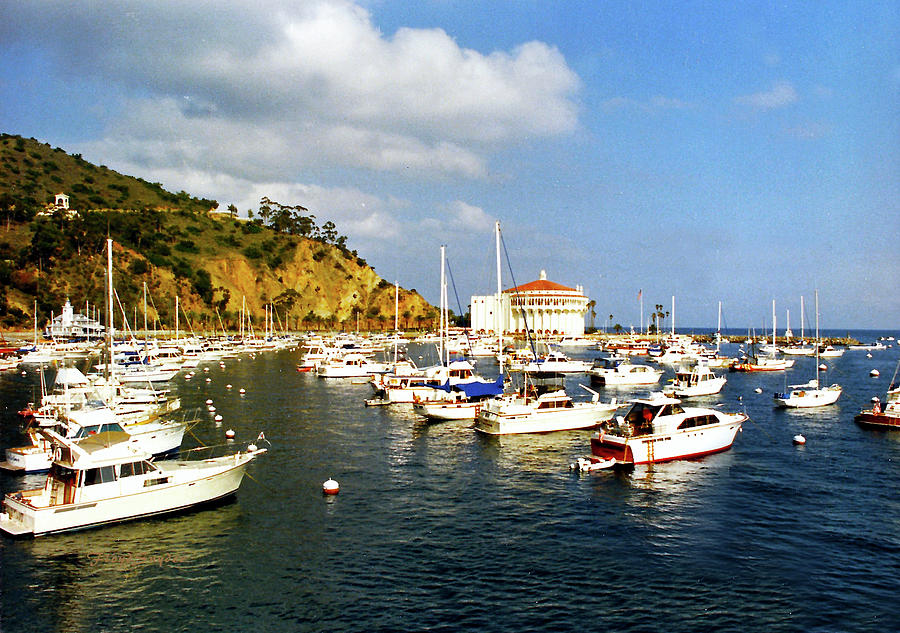 Catalina Kodachrome Photograph by Floyd Snyder