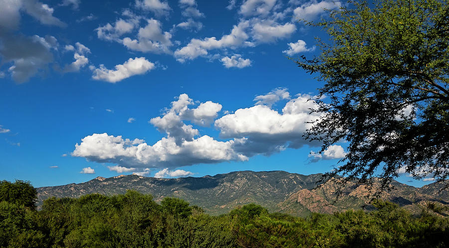 Catalina Mountains h48 Photograph by Mark Myhaver