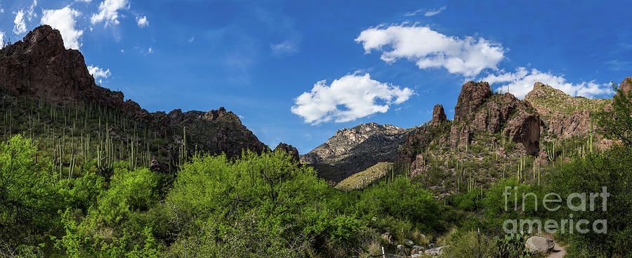 Catalina Mountains In Tucson Arizona Photograph