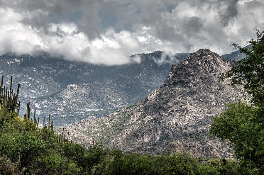 Catalina Mountains Photograph by Tam Ryan