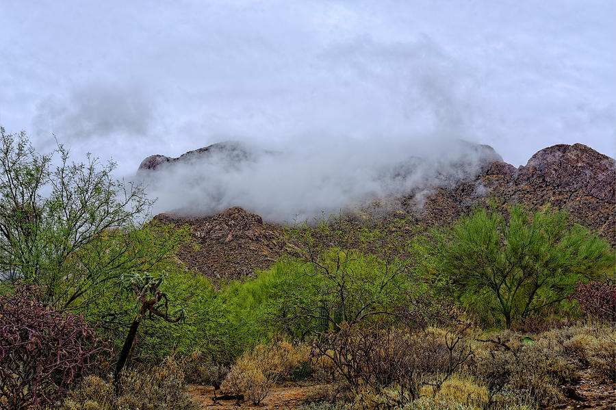 Catalinas In Clouds h1816 Photograph by Mark Myhaver