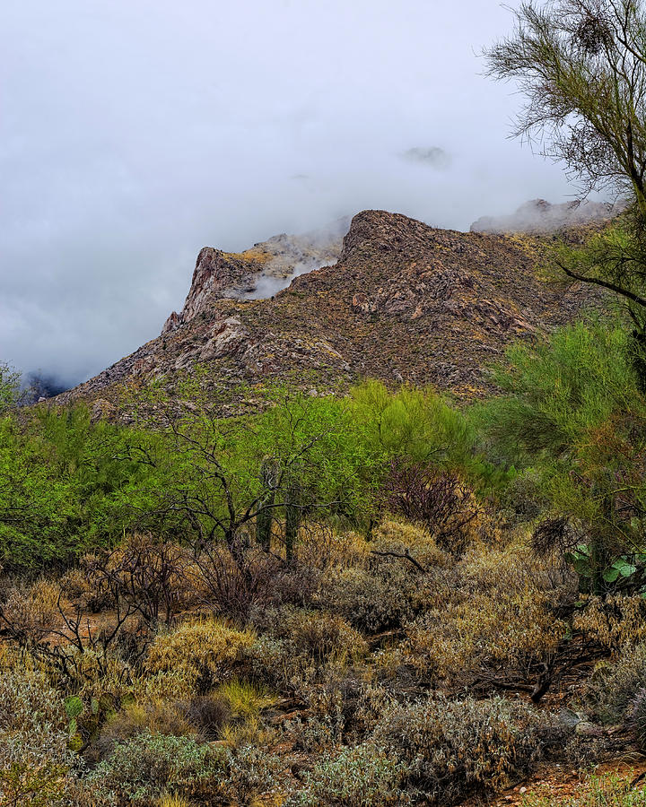 Catalinas In Clouds v1830 Photograph by Mark Myhaver