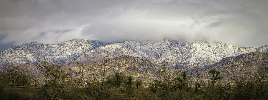 Catalinas With Snow Photograph by Elaine Malott