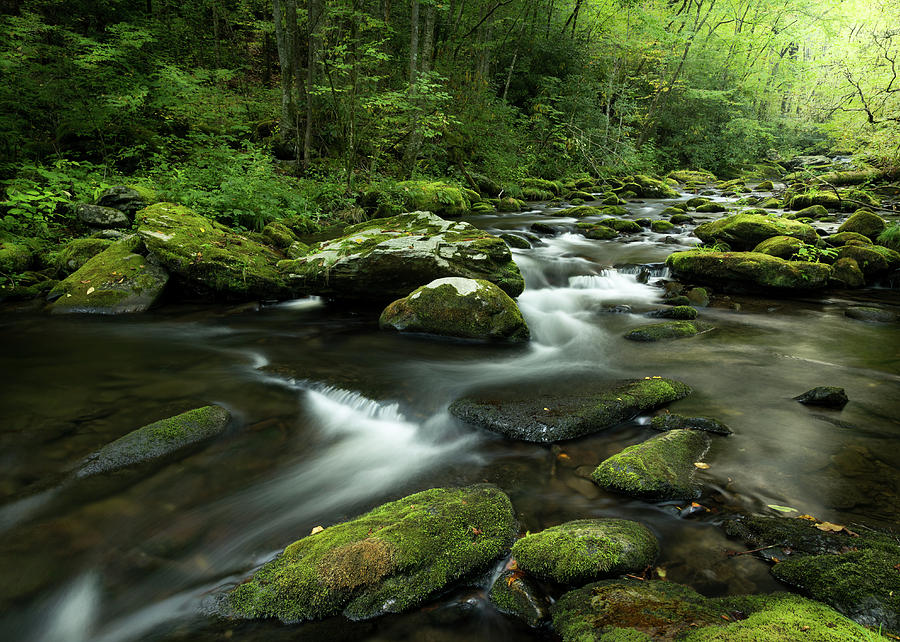 Cataloochee Creek #3 Photograph by Dan Farmer - Fine Art America