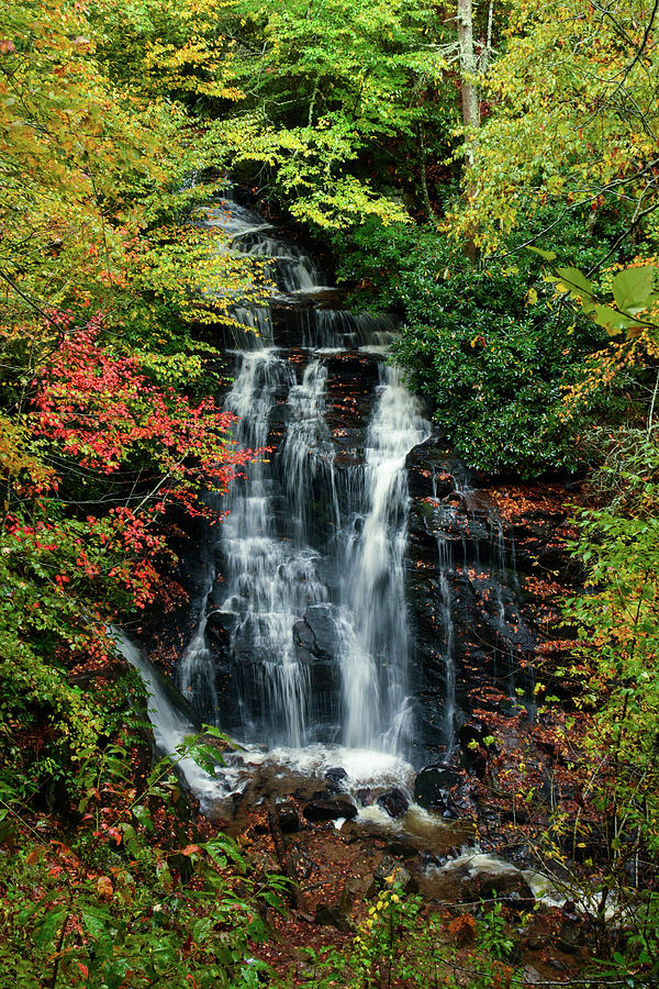 Cataloochee Valley Soco Falls Photograph by Christal Randolph - Fine ...