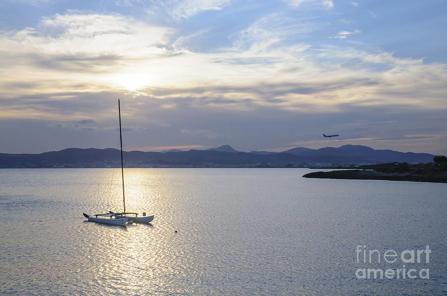 Catamaran moored at sunset and jetliner landing in Palma Photograph by Ingela Christina Rahm
