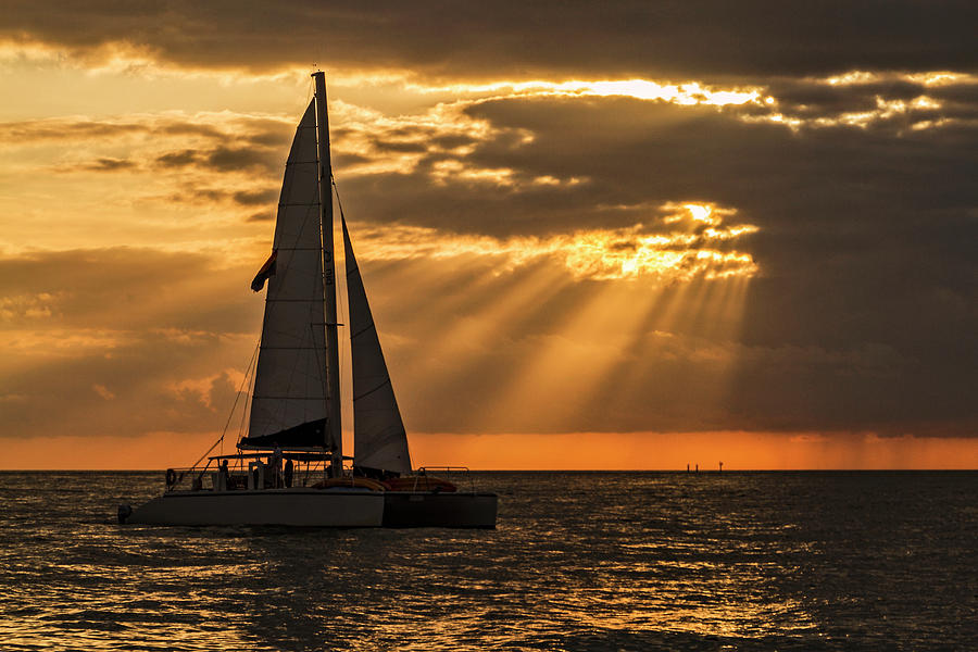 Catamaran Sunset Cruise in Key West Photograph by Bob Slitzan