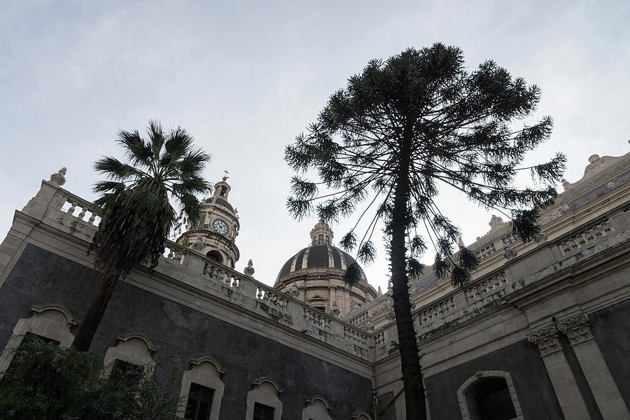 Catania Cathedral Saint Agatha with Lacy Treetops Photograph by Georgia Mizuleva