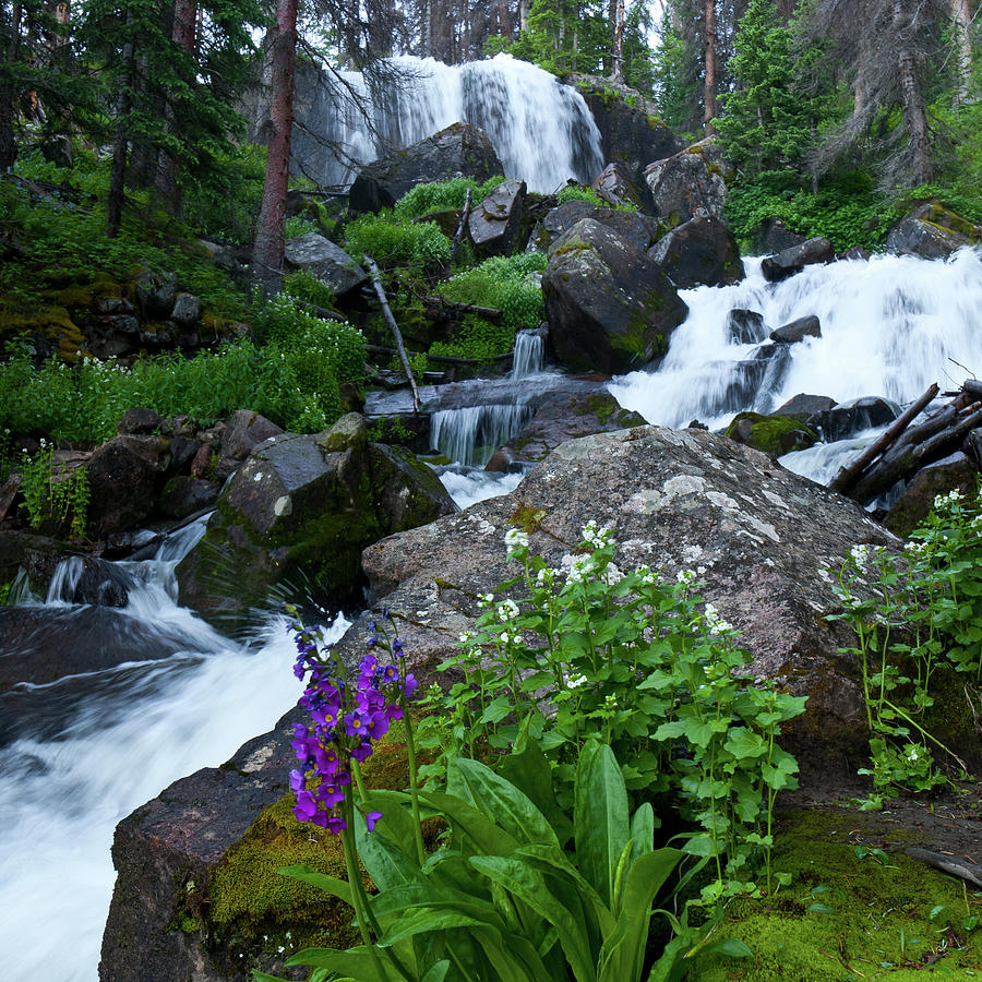 Cataract Gulch Stream and Waterfall Photograph by Cascade Colors