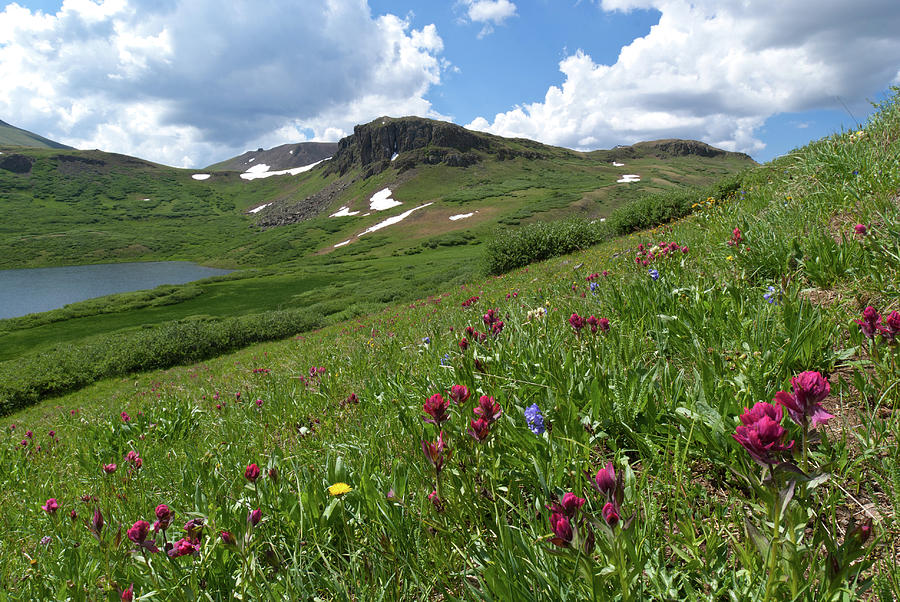 Cataract Lake and Wildflower Meadow Photograph by Cascade Colors