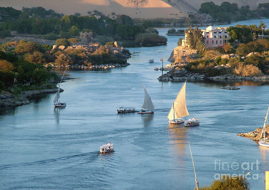 Cataracts of the Nile Photograph by Sheila Laurens