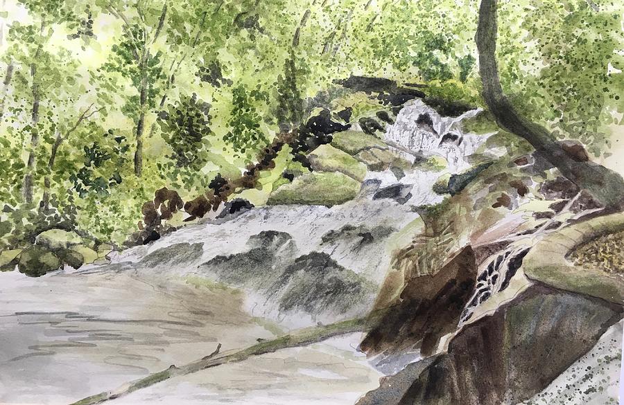 Catawba Falls - a watercolor sketch Painting by Joel Deutsch