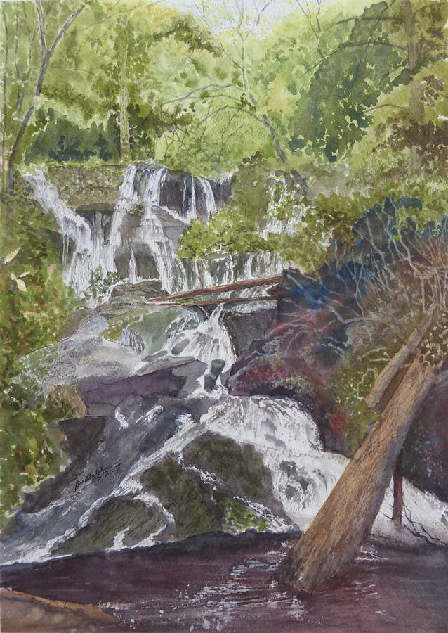 Catawba Falls - working notes Painting by Joel Deutsch