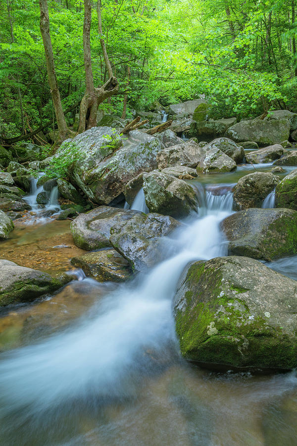 Catawba Stream Cascades at High Shoals Falls in North Carolina Photograph by Ranjay Mitra