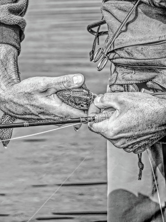 Catch and Release Rainbow Trout Monochrome Photograph by Jennie Marie Schell
