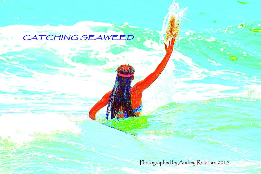 Catching Seaweed Photograph by Audrey Robillard