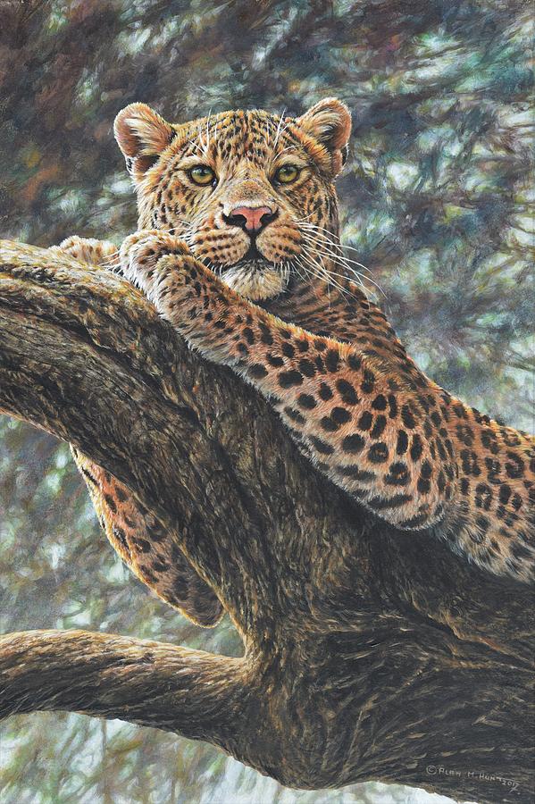 Wildlife Painting - Catching the Sun by Alan M Hunt