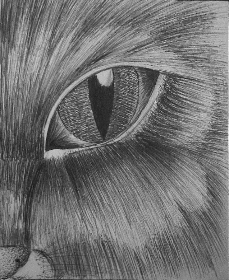 Animal Drawing - Catface by Alexander Holmes