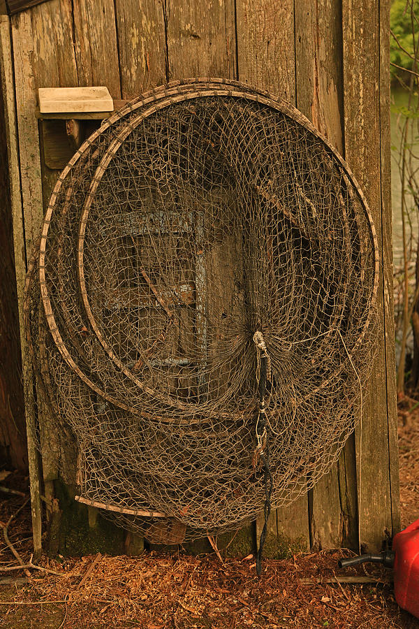 Catfish Hoop nets Photograph by Ronald Olivier - Fine Art America