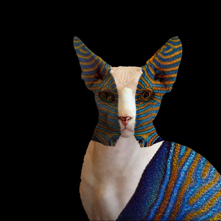 Catfish Digital Art by Jonathan Hale Fine Art America