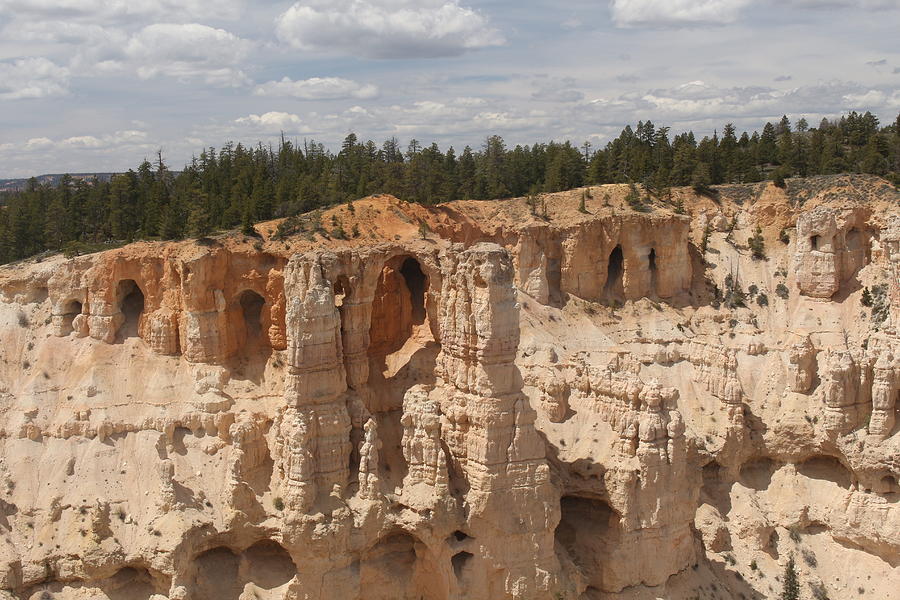 Cathedral At Bryce Photograph By Taylor Munson Fine Art America