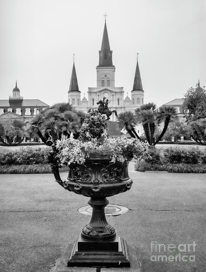 Cathedral Basilica New Orleans Black  Photograph by Chuck Kuhn