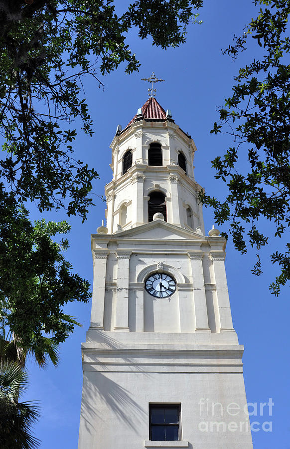Cathedral Basilica of St. Augustine  Photograph by Lydia Holly