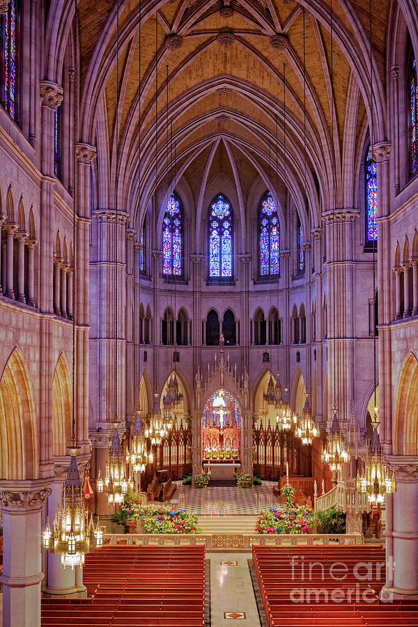 Cathedral Basilica of the Sacred Heart Photograph by Jerry Fornarotto