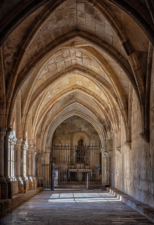 Cathedral Cloister Tarragona Spain Photograph by Joan Carroll