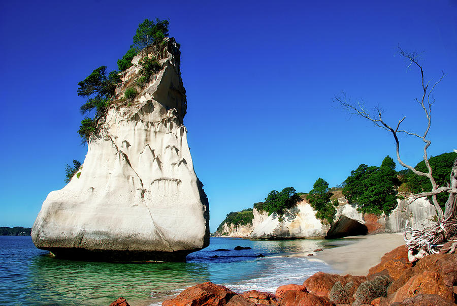 Cathedral Cove Photograph by Mark Dodd