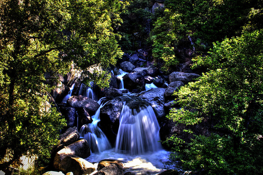 Yosemite National Park Photograph - Cathedral Creek Cascade on the Tioga Pass by Roger Passman